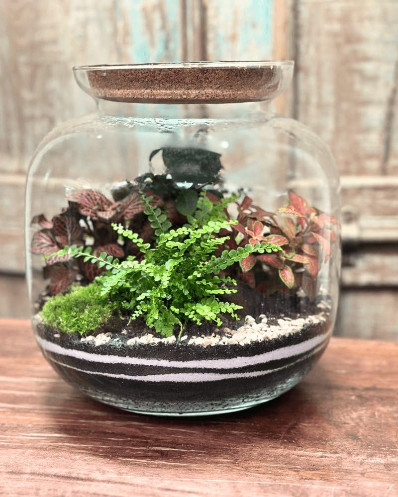 Kit Terrarium in Vetro con Tappo in Sughero, Ecosistema Autosufficiente per Piante, Kit Terrario Completo Senza Pianta, Arredo Naturale per la Casa,Giardino in vetro fai da te