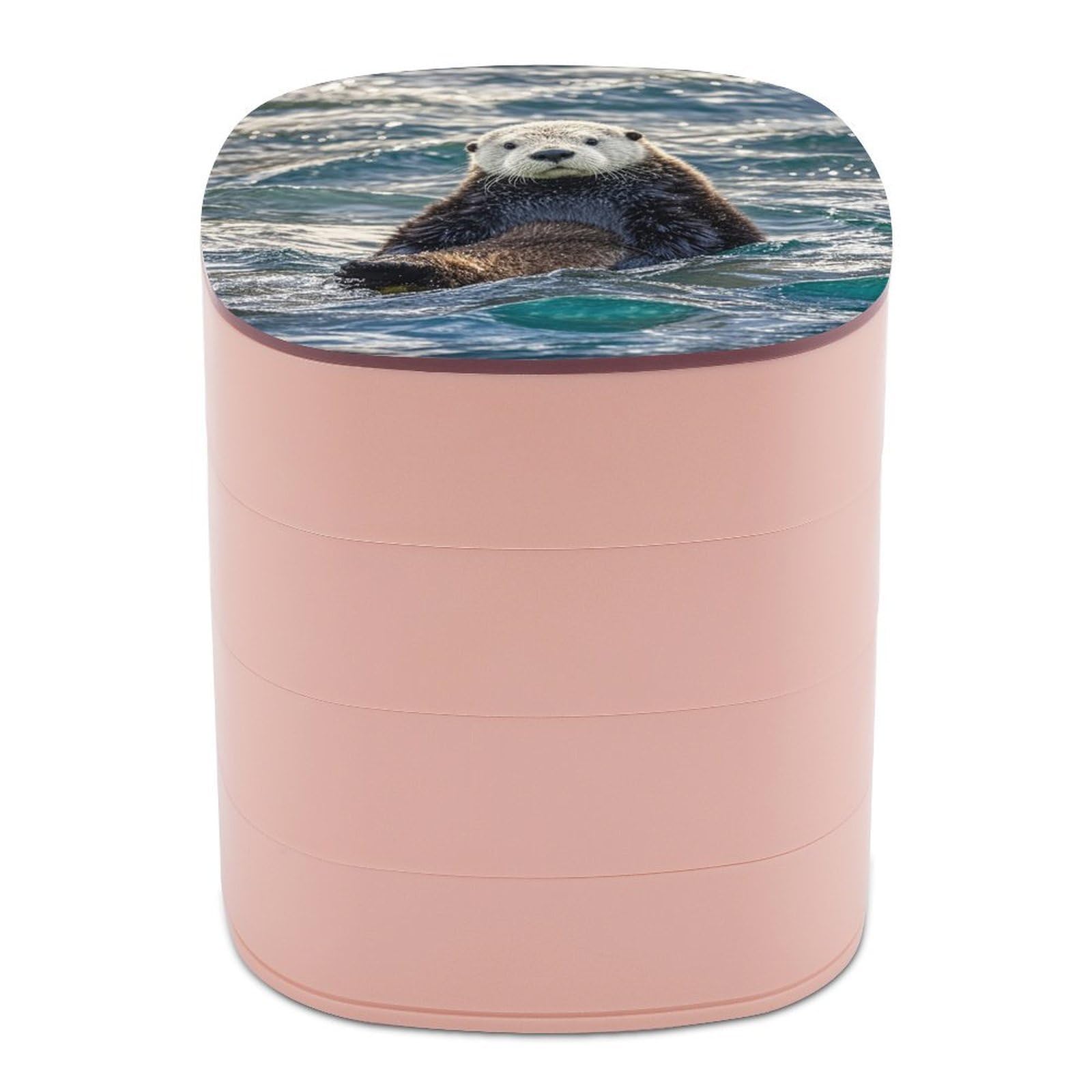 FekiLoot Rotating Sea Otter Jewelry Box Large Capacity Jewelry Organizer with Mirror 4 Tier Hoop Ring And Earring Holder With Lid Small Travel Jewelry Case for Women