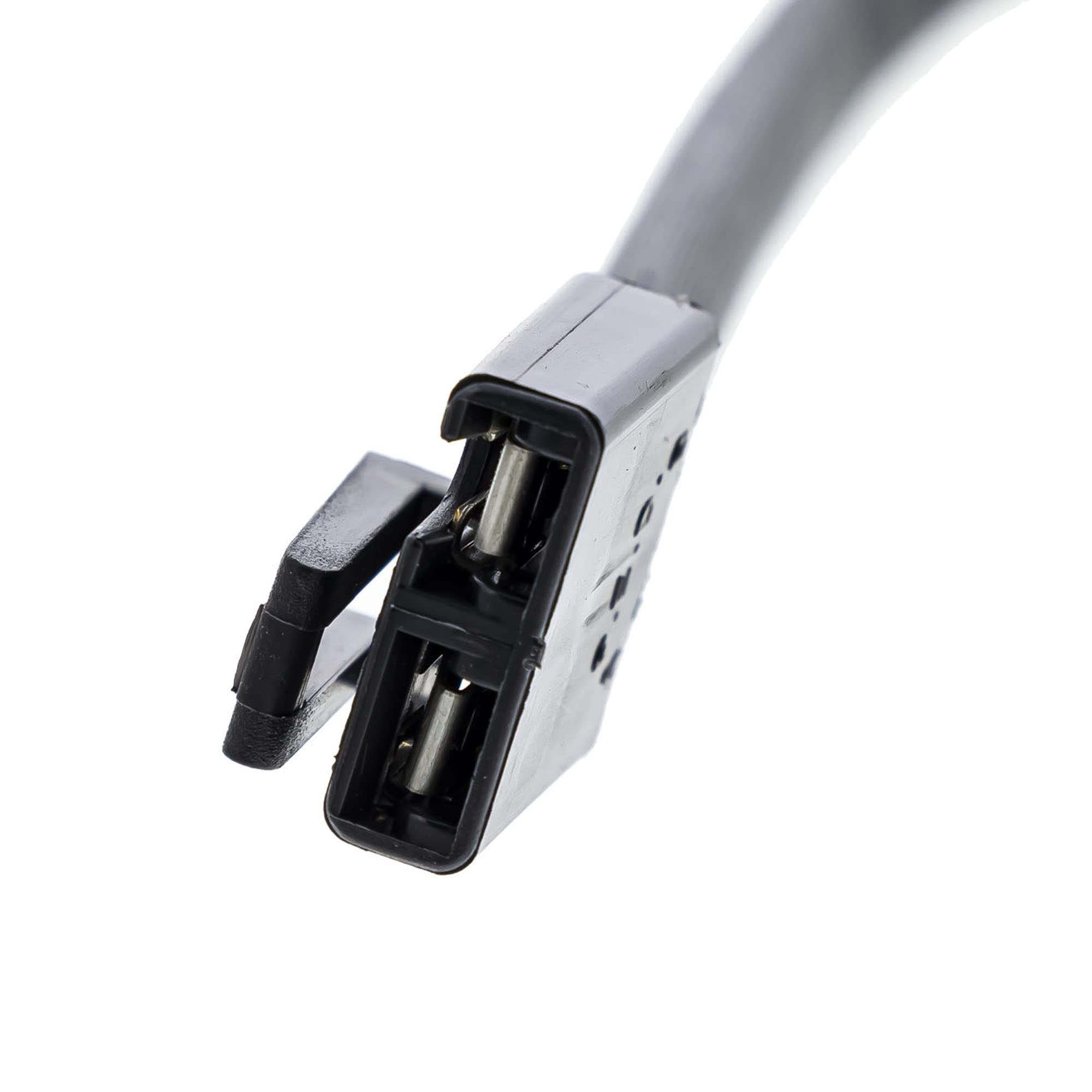 キューティーなど あきゅ あき adidas ZX 8000 Hazy Beige Men's - H02111 - US