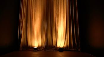 ⑤ADJ アメリカンディージェイ Dotz Par LED パーライト 舞台照明 American DJ / Dotz Par LEDパーライトステージ・舞台照明 LED