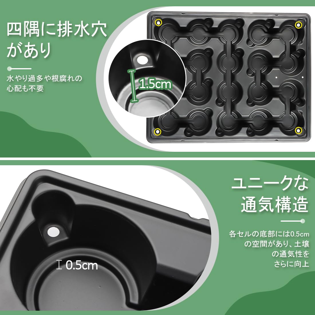 Top【選抜株】23507ムーンライト ジェニーHyb 105個 プラグトレー苗
