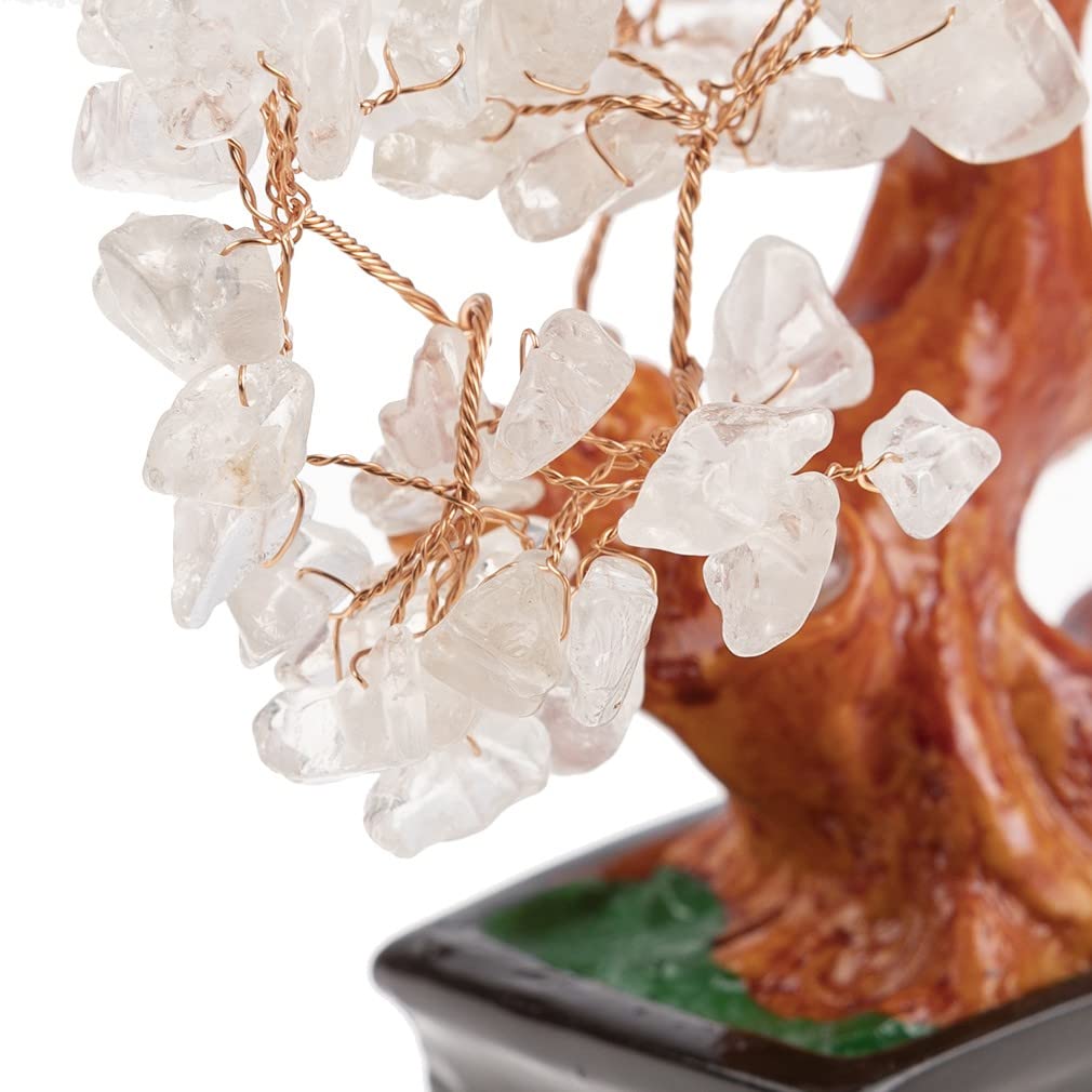 Bioarchitettura E Feng Shui – Feng Shui Vitale