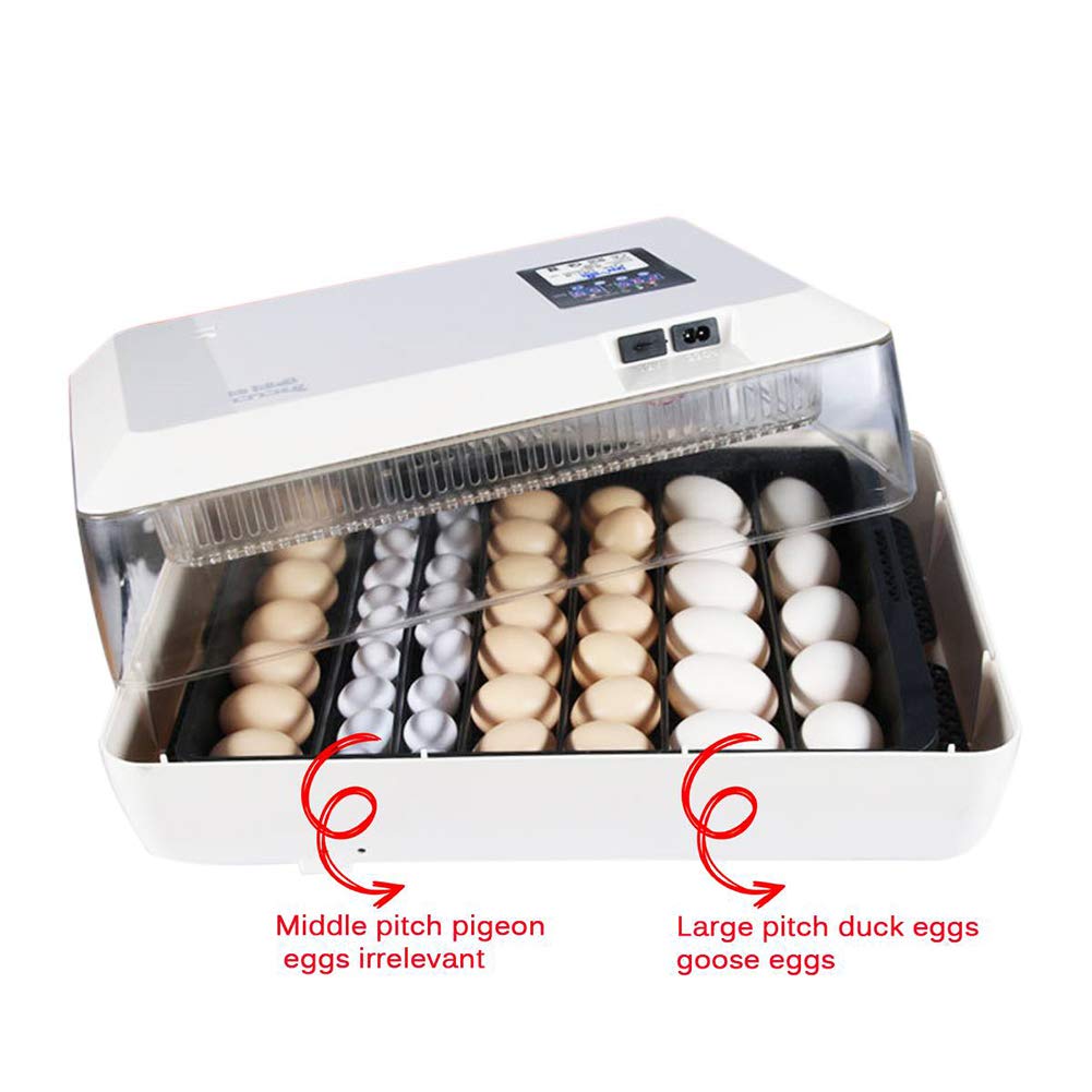 Las mejores incubadoras de regalo para niños, 60 huevos, volteador automático, incubadora de aves de corral, máquina criadora con control de termostato comercial digital, para incubar pollos, patos