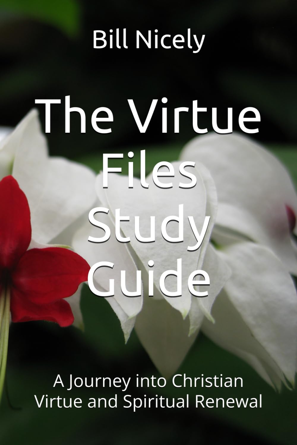 The Virtue Files Study Guide: A Journey into Christian Virtue and Spiritual Renewal