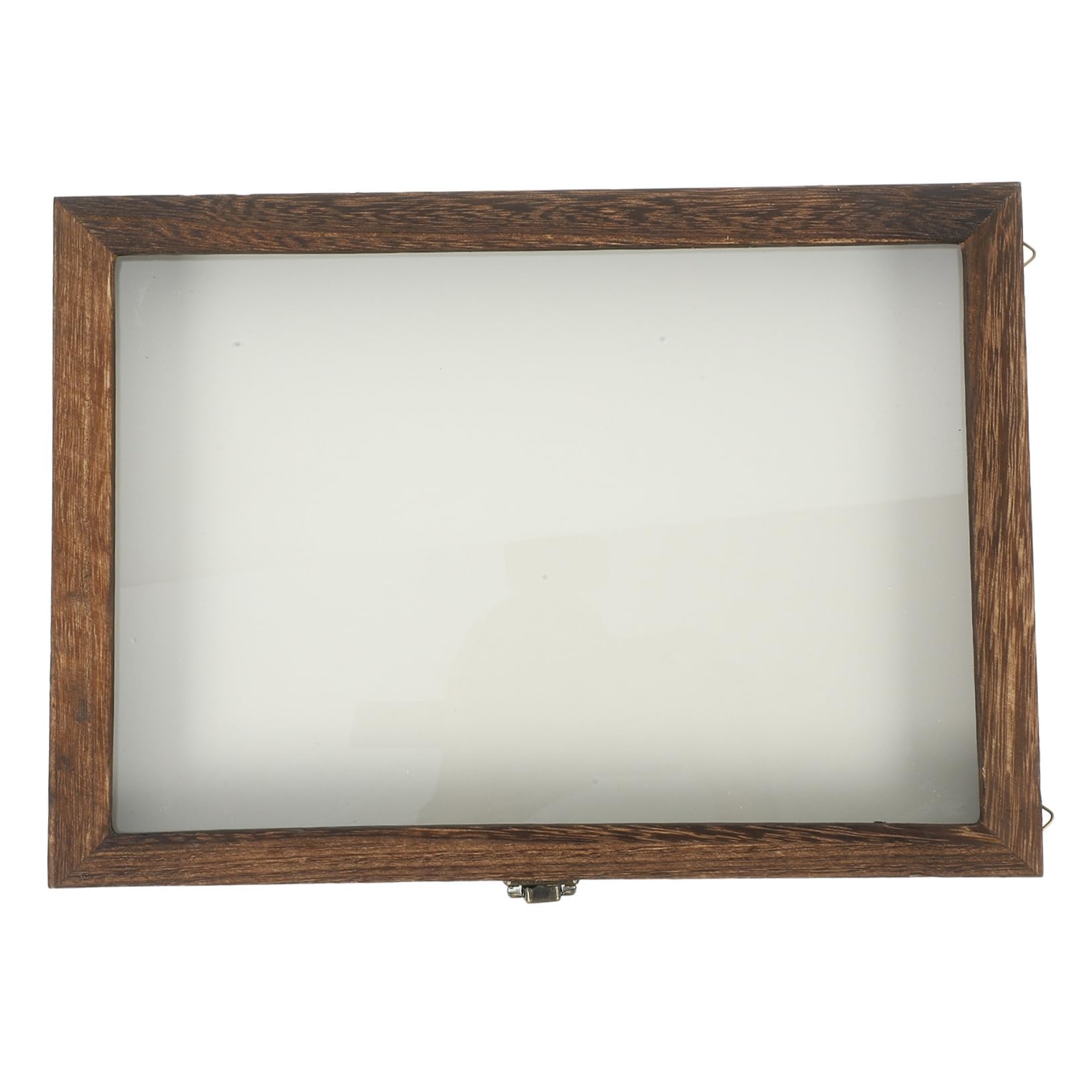 VICASKY Caja de Exhibición de Insectos Vintage Estuche para Muestras de Insectos Tapa Transparente Vitrina para Especímenes de Plantas para Colección de Mariposas y Almacenamiento de Espec
