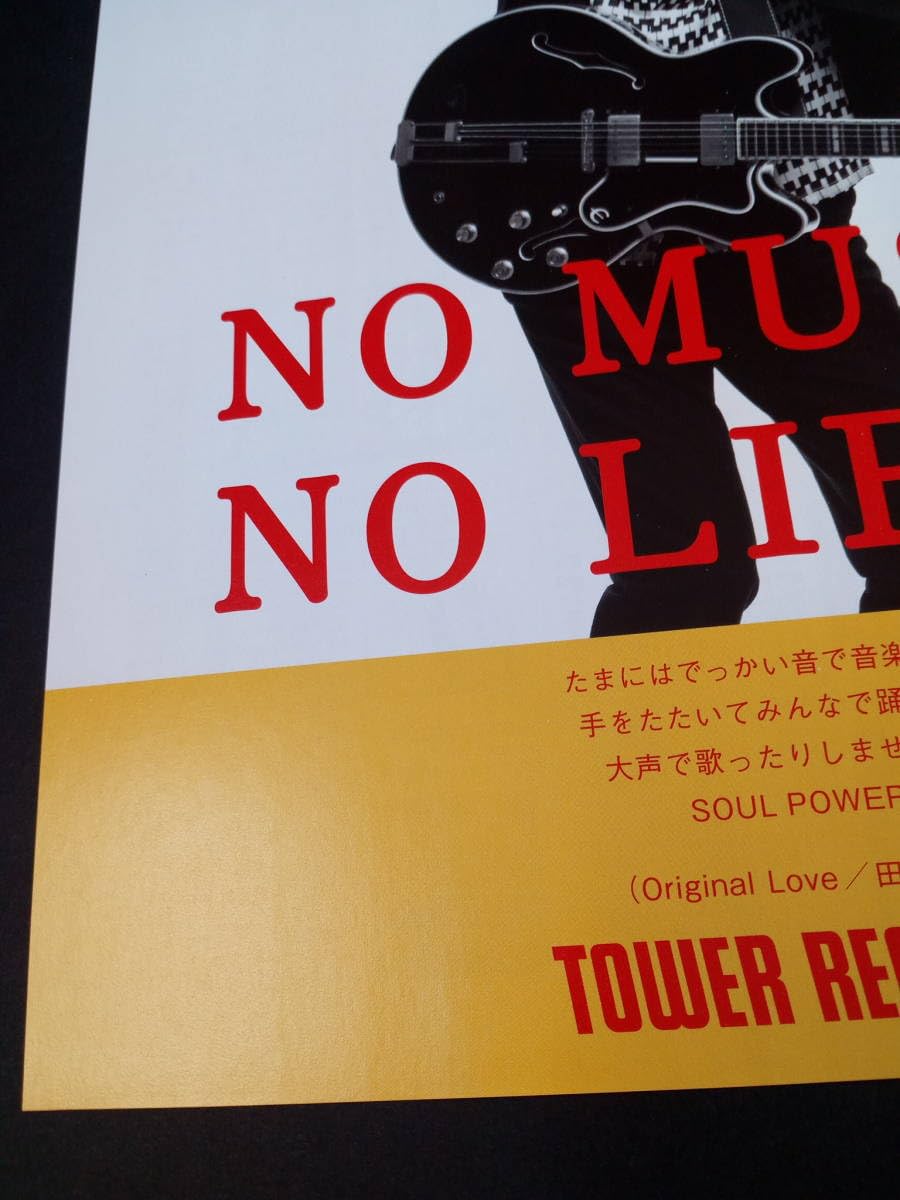 Amazon.co.jp: Original Love 田島 貴男 タワレコ広告 簡単！額縁に 