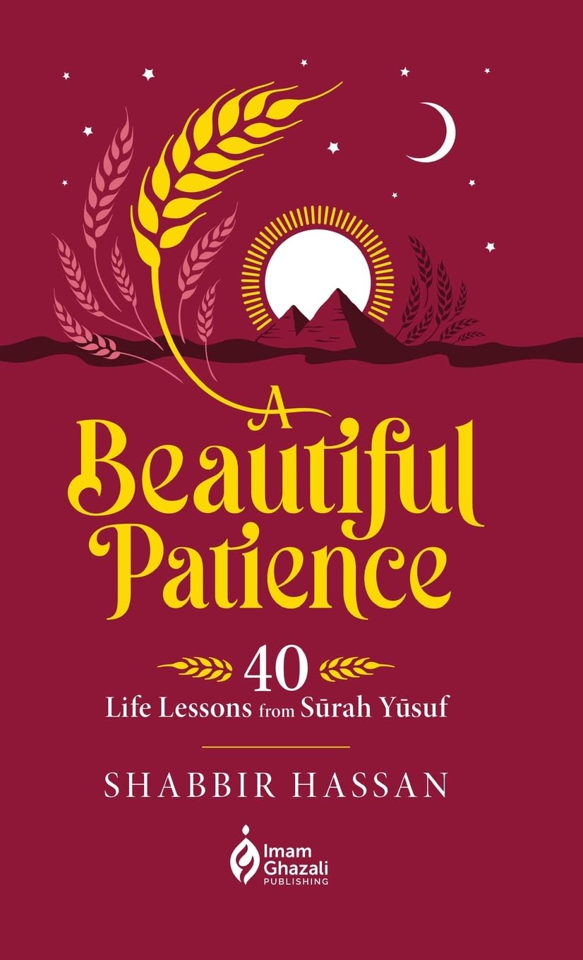 A Beautiful Patience (HB)