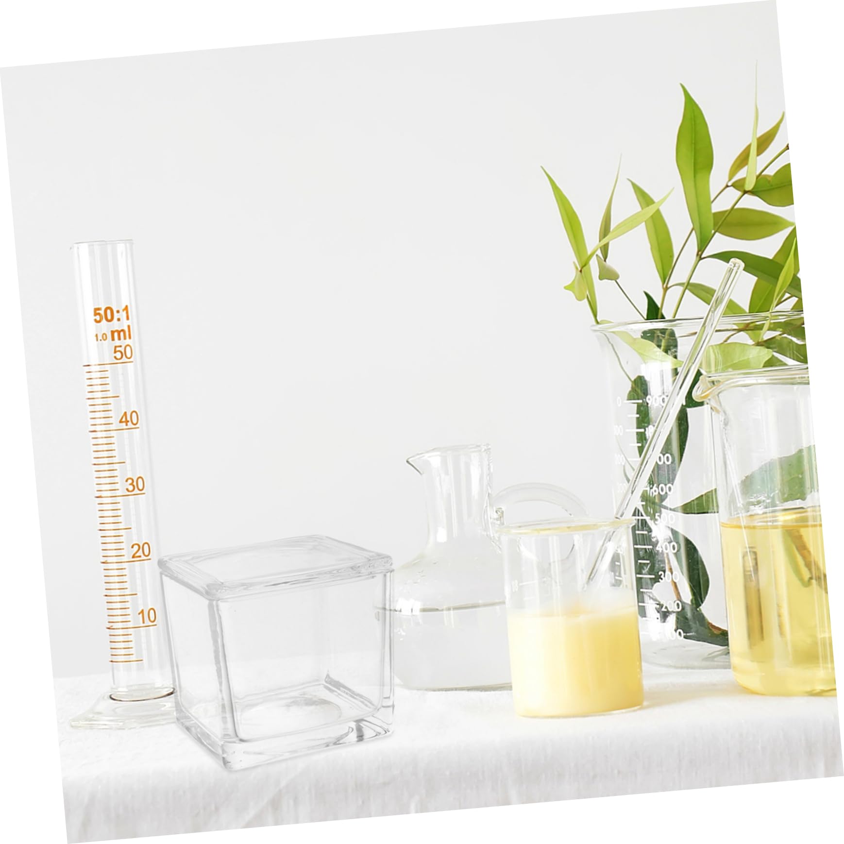 Transparentes Glas Färbegefäß mit 30 Objektträgern Mikroskopzubehör für Kinder Vertikales und Rundes Design Stabile Färbeumgebung für Biologieunterricht