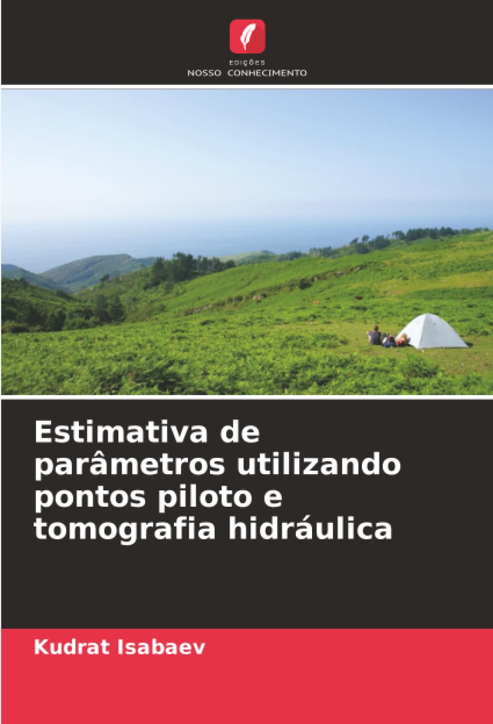 Estimativa de parâmetros utilizando pontos piloto e tomografia hidráulica