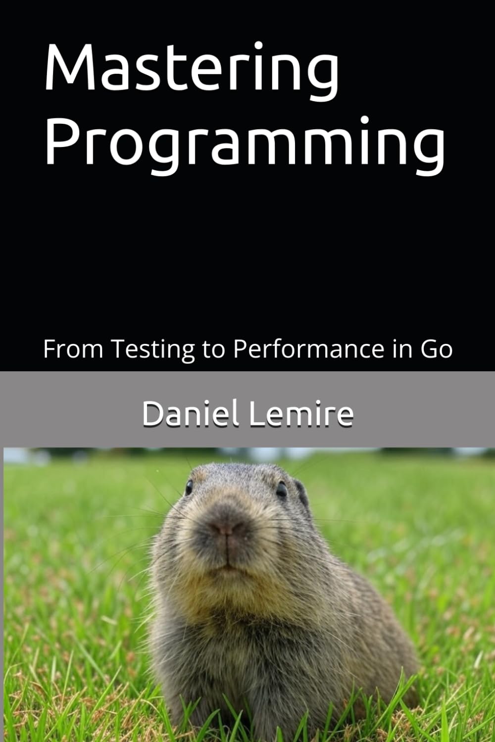 Mastering Programming: From Testing to Performance in Go