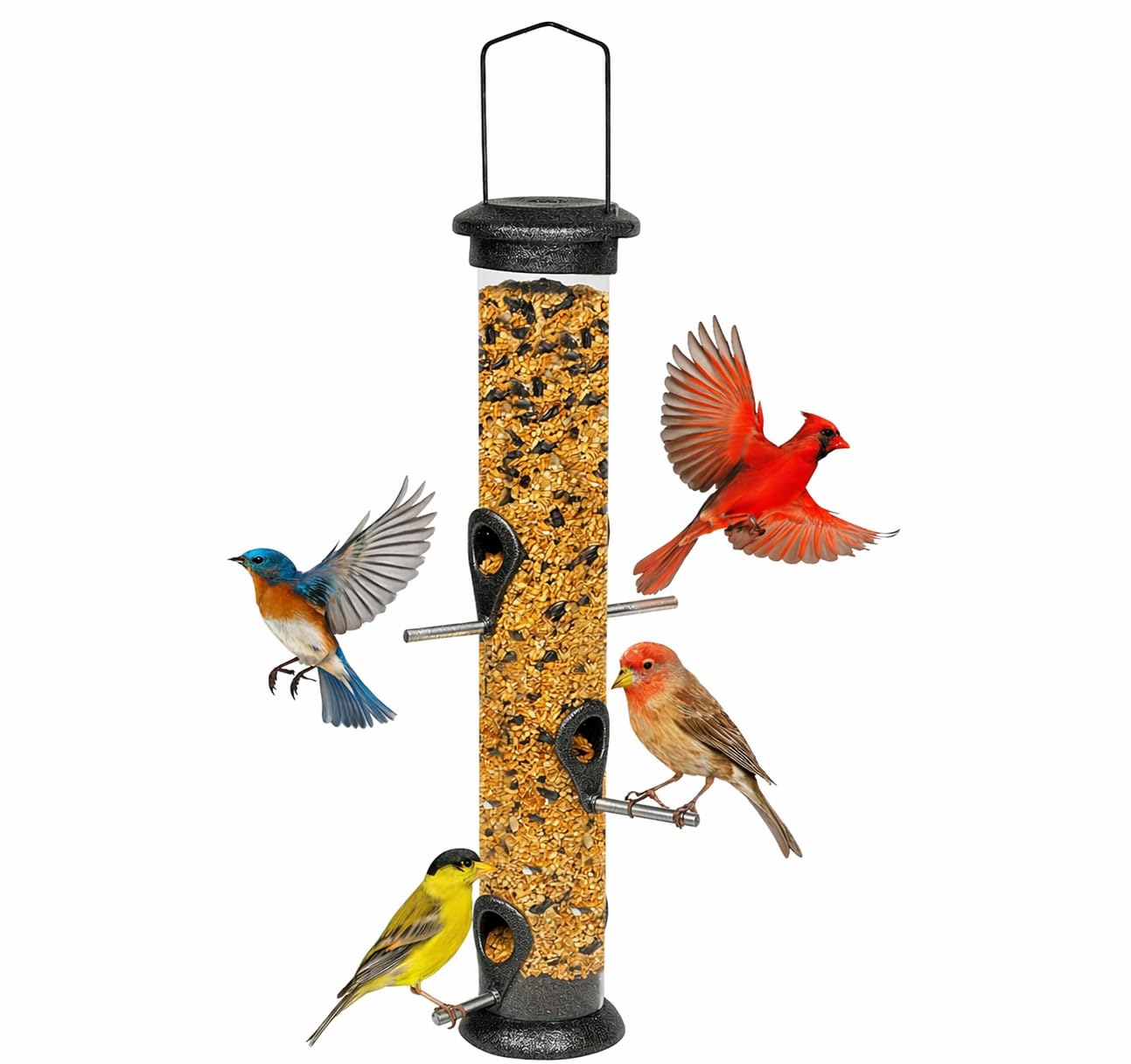 DIVCHI Bird Feeder Niger Seed Birdfeeder Heavy Duty Hanging Feeders Birdfeeder For Garden Wild Birds (Extra Large)