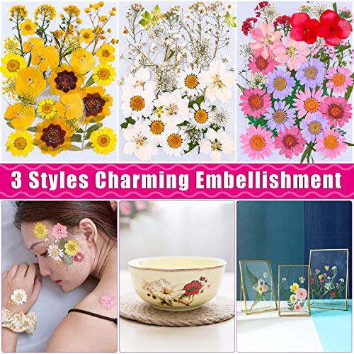 image for 100 Pcs Dried Pressed Flowers for Resin, Thrilez Real Pressed Dried Fl