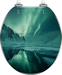 Round Toilet Seat Fluid Over Ice Lake Shot la Cuarn Resin Toilet Seat Quietly Slow Close with Quick-Release Hinges Toilet Seat with Cover Easy to Clean Install
