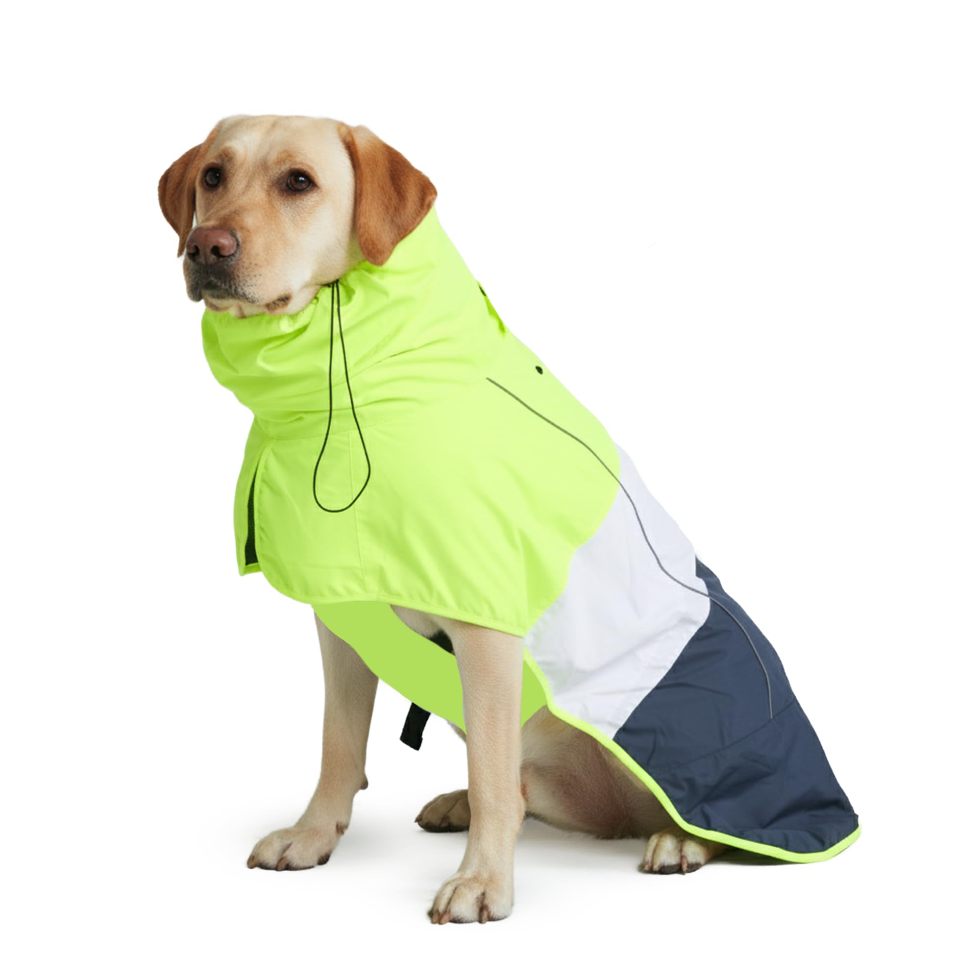Spark Paws Hondenregenjas, waterdicht, winddicht, regenjas, voor kleine, middelgrote en extra grote honden, reflecterend, ademend, met volledige lichaamsbescherming, neon wit marineblauw, XL