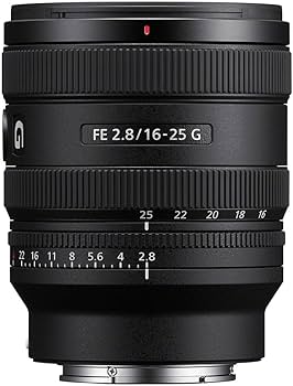 Amazon.com : Sony FE 16-25mm F2.8 G Wide-Angle Zoom Lens (SEL1625G Amazon.com : Sony FE 16-25mm F2.8 G Wide-Angle Zoom Lens (SEL1625G