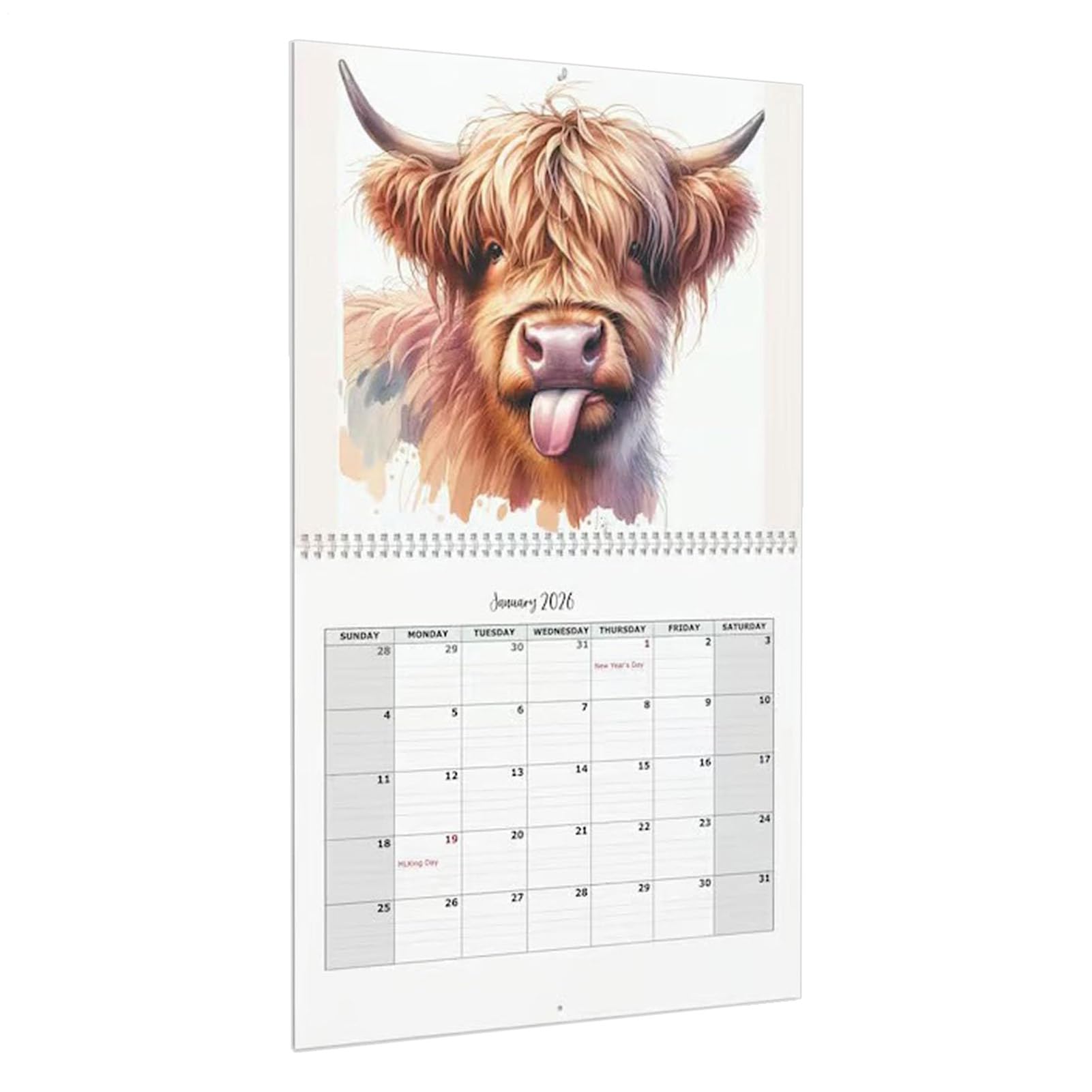 2026 Kalender - Lustige Hochlandrind Wandkalender 2026,12 Monate Home Decor Zum Planen Für Schule Klassenzimmer Büro Wohnung Familie Lehrer Schüler Weihnachten Geburtstag