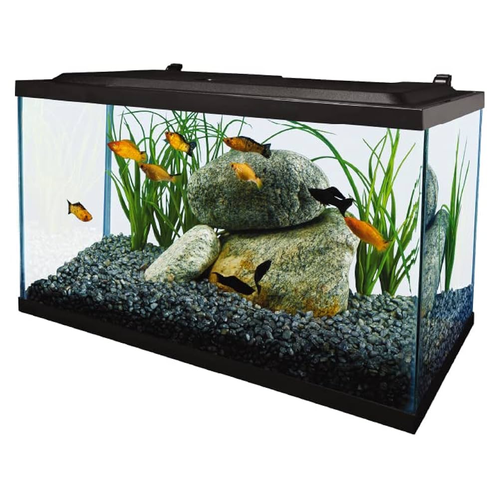 2個セットTetra All Glass Aquarium 420L &300 Amazon.com : Tetra Aquarium, 10 Gallon, Complete Tropical