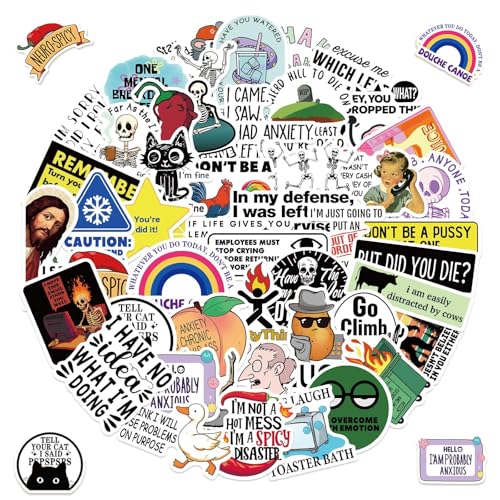 Zernblend 50 pegatinas divertidas para adultos, paquete de memes sarcásticos, libro de pegatinas, pegatinas para Kindle, pegatinas estéticas, pegatinas de anime, accesorios de lectura, libro de