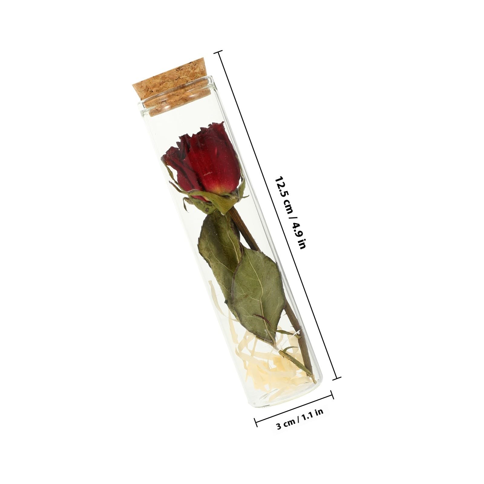 Bottiglie dei Desideri in Vetro Trasparente Tappo di Sughero e Fiori Secchi Rossi e Gialli, Set da 2 per Decorazioni Natalizie e Ufficio