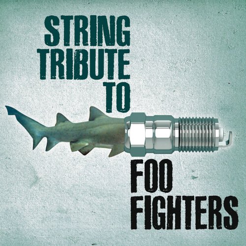 FOO FIGHTERS TRIBUTE String Tribute to Foo Fighters Music