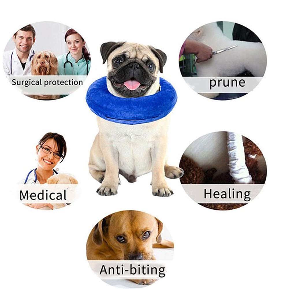 Collier De Convalescence Pour Chien - Collier Mou, Réglable - Pour Chiens Moyens/Grands - Bleu Ou Gris