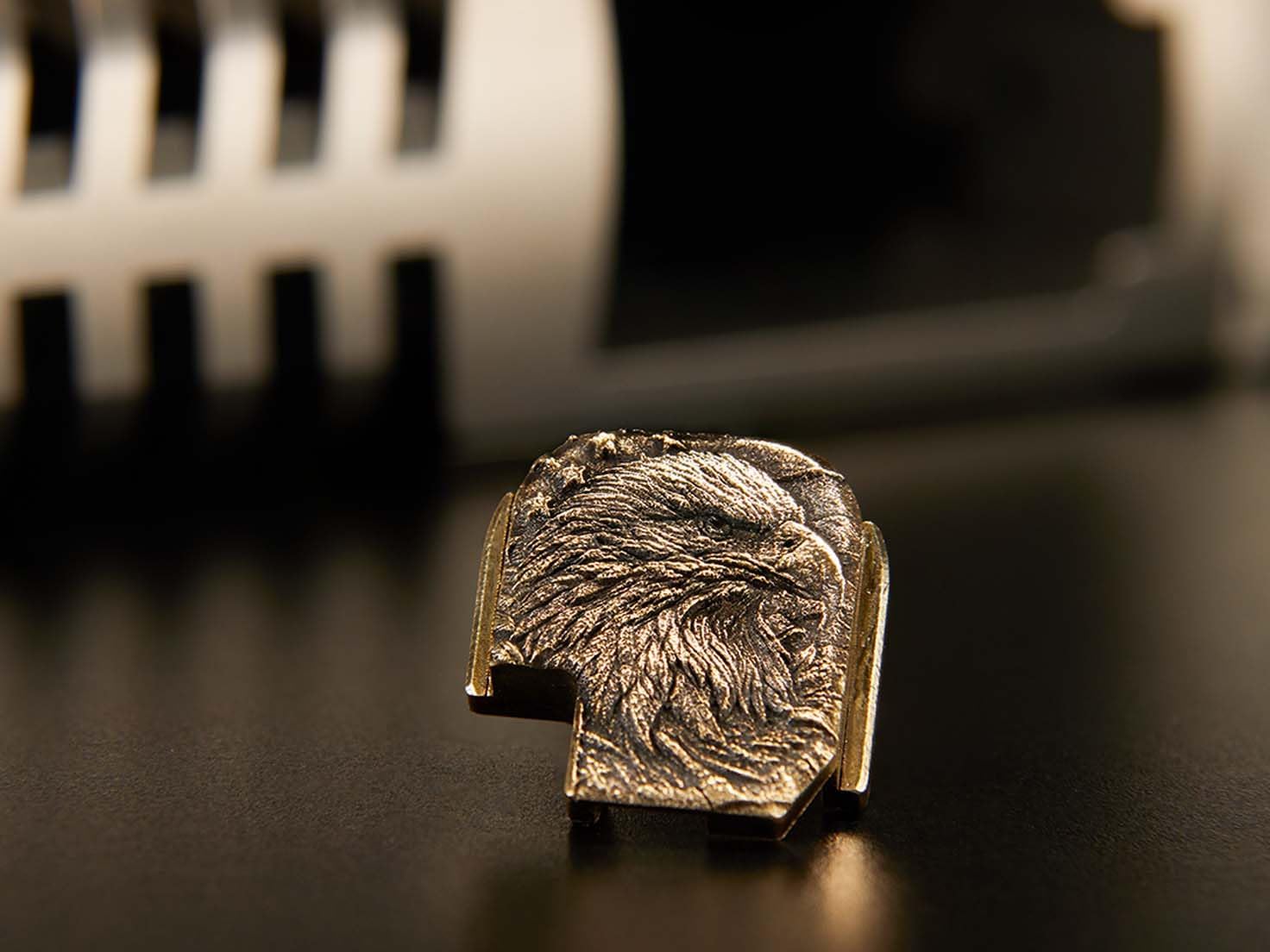 NDZ Performance 3D Engraved Brass Slide Cover Back Plate for Sig P365 P365X P365 XL P365 X Macro P365 Fuse in 9mm .380, P365 Accessories - Choose Design