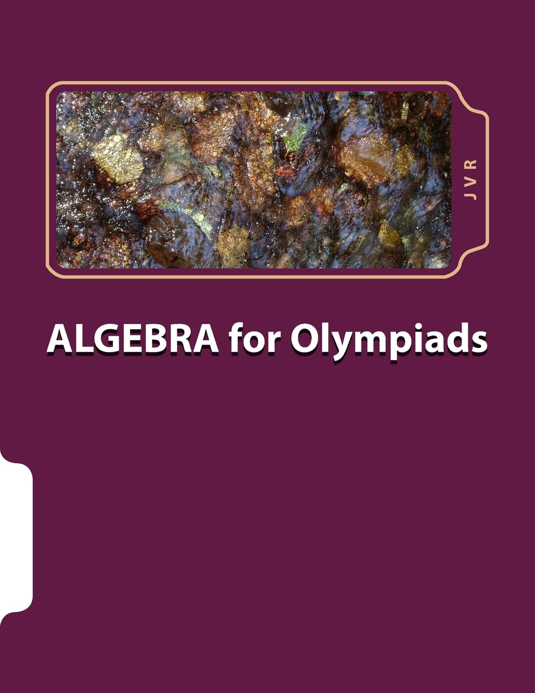 Algebra for olympiads: Problems and Solutions: Volume 1