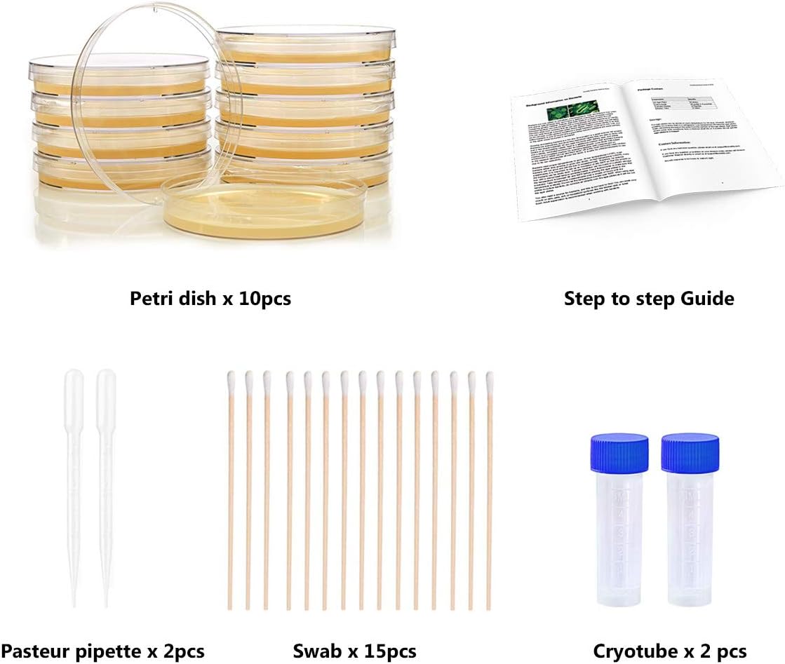 Bacteria Science Kit Petri Dishes with Agar and Swabs | Top Science Fair Project Bacteria Growing Kit | Prepoured LB-Agar Plates and Cotton Swabs | STEM for Kids Aged 6 7 8 9 10 Girls Boys Gifts