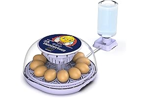 Incubadora para huevos de gallina automática con volteo de huevos y reposición automática de agua