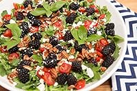 Celebrate Beaufort 069295967X Book Cover