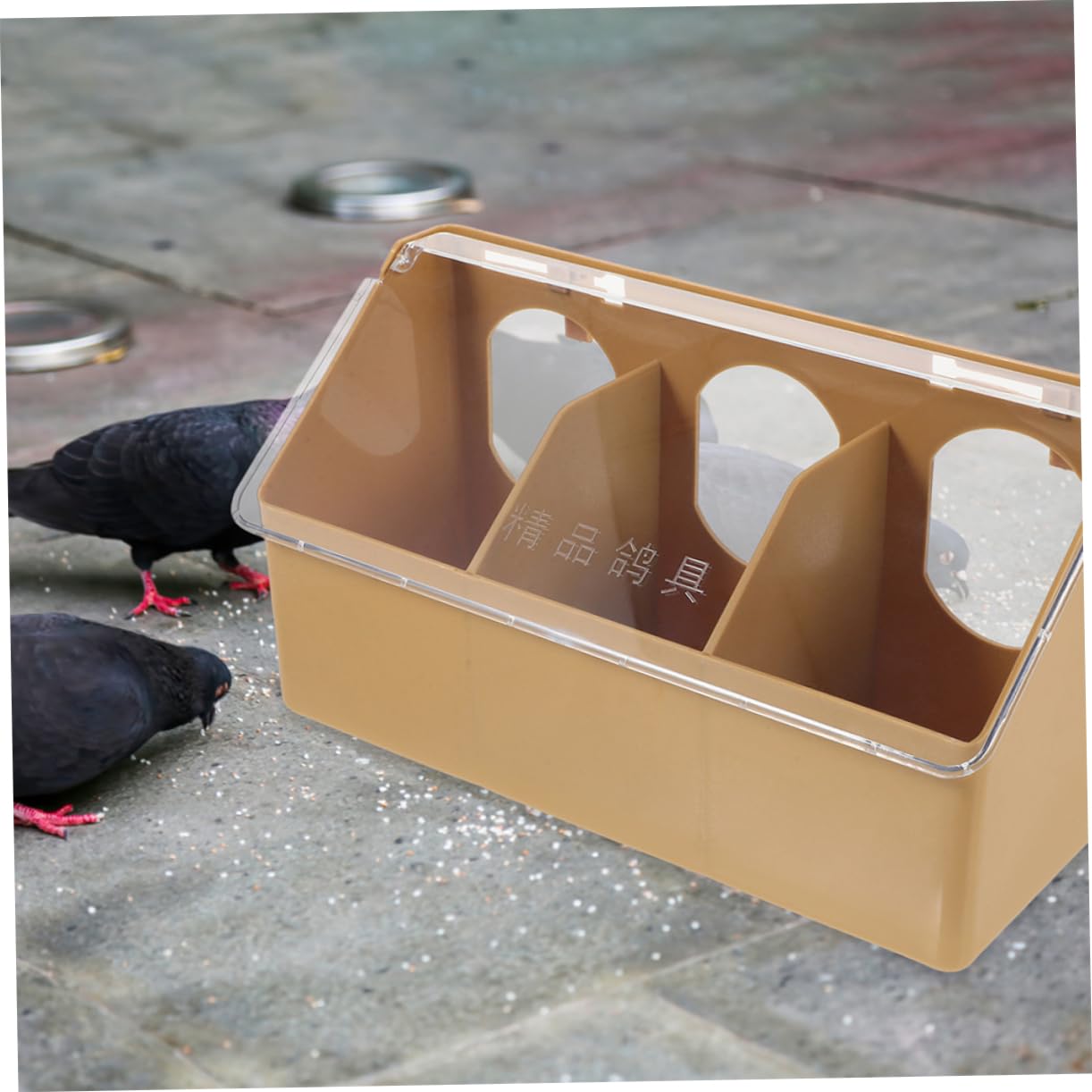 2 Pezzi Mangiatoia per Piccioni in Plastica, Compatta e Resistente All’usura, Facile da Pulire, per Alimentazione Uccelli in Gabbia