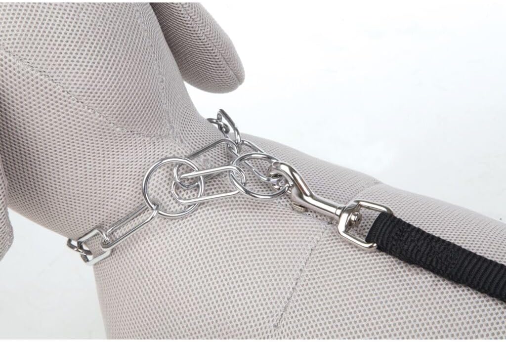 Trixie Chrome Long Link Choke Chain, 66 x 4 mm Thickness