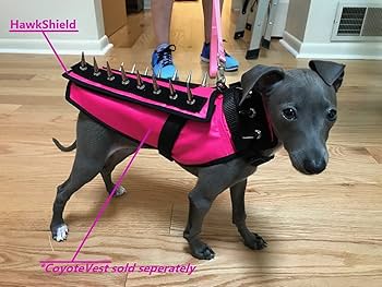 Dog Protection Coyote Prevention Vest Body Armor Coyote Proof