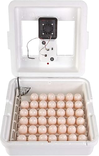 Vista 4 de Little Giant® Incubadora digital de aire fijo 41 huevos Incubadora de huevos con control de temperatura y humedad Incubadora de pollos