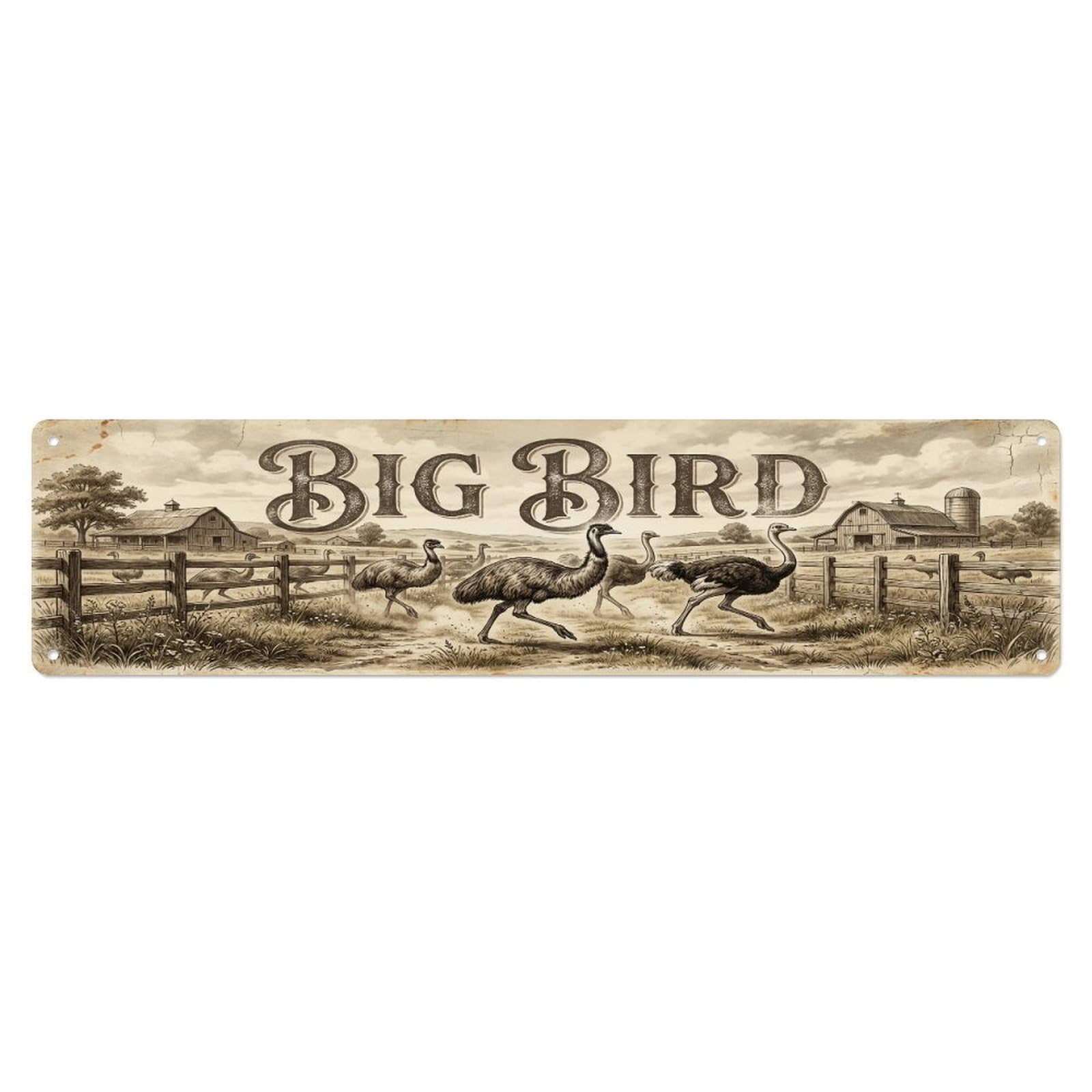 Olhnbad 4X16inch(10X40cm) Vintage Pen Run Bird Farmhouse Funny Bird Backyard Farm Metal Tin Sign