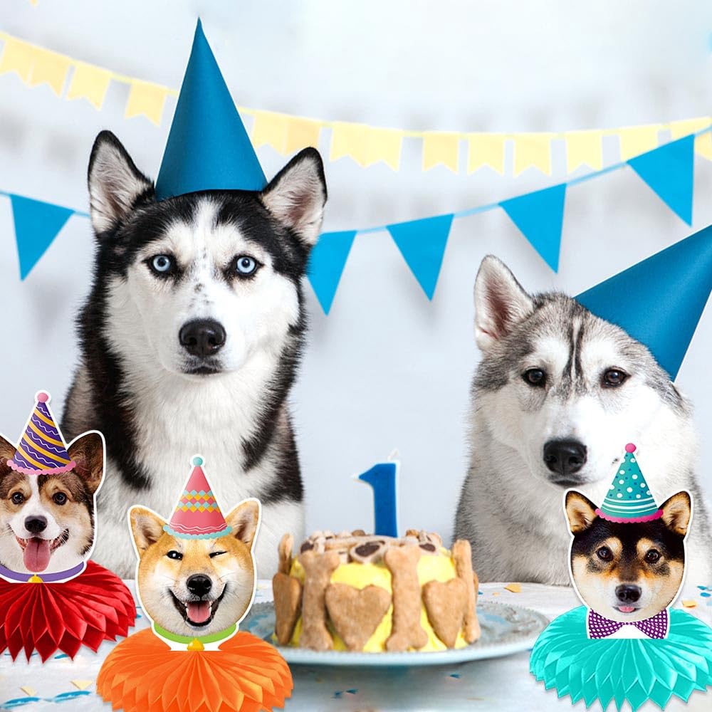 Amazon.com: Nicime 9pcs Dog Honeycomb Decorations, Cute Animal