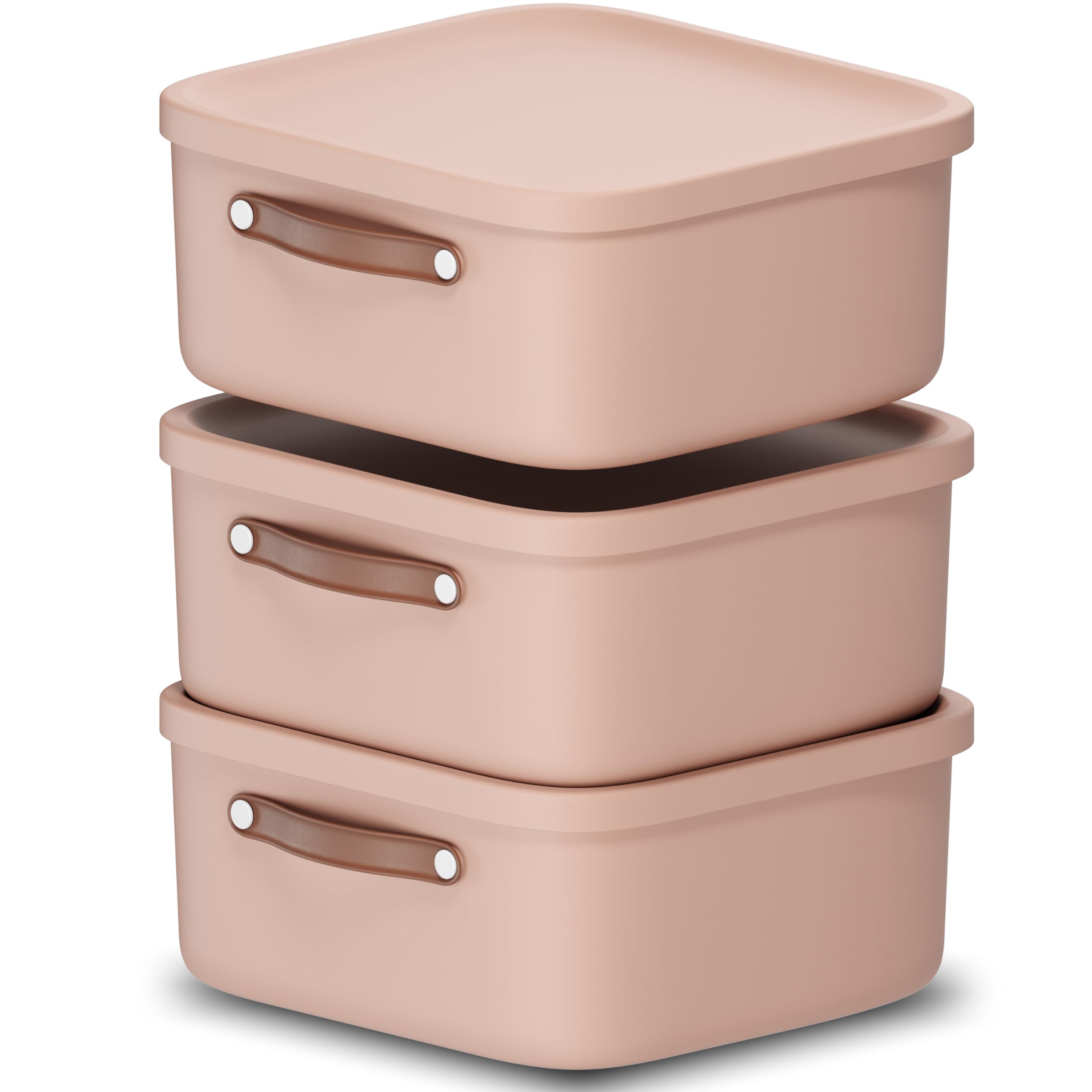 Rotho Maloja Aufbewahrungsbox mit Deckel 3 x 20 L stapelbar mit Griff Rosa | Aufbewahrungsboxen, stapelbar und modular, sicher verschließbar, Kunststoffbox mit Deckel, mit Trageriemen, pflegeleicht