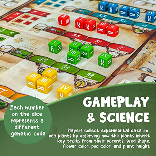 Genotype: Mensa Award Winning Genetics Board Game about Mendel's Pea Plants by Genius Games - Used condition - Image 7