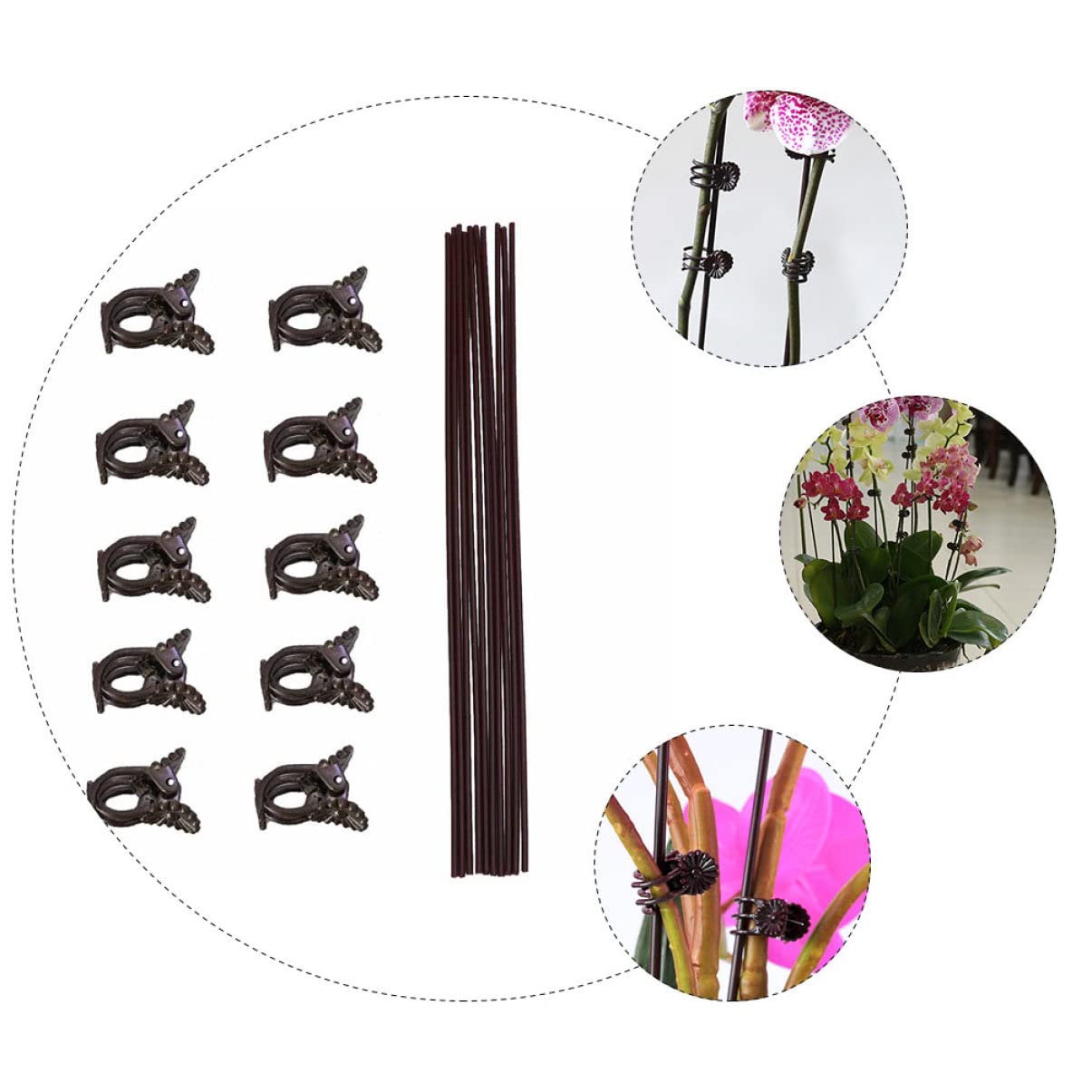 TOYANDONA 2 Sätze Pflanzenfixierungsclips Und Halterungen Für Gartenpflanzen Wetterfeste Klammern Für Kletterpflanzen Gemüse Und Blumen Zur Unterstützung Pflanzenwachstums 20 Stück * 2