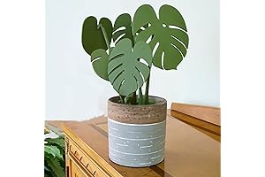 Magnetic Coaster Leaves - Tropical Home Decor