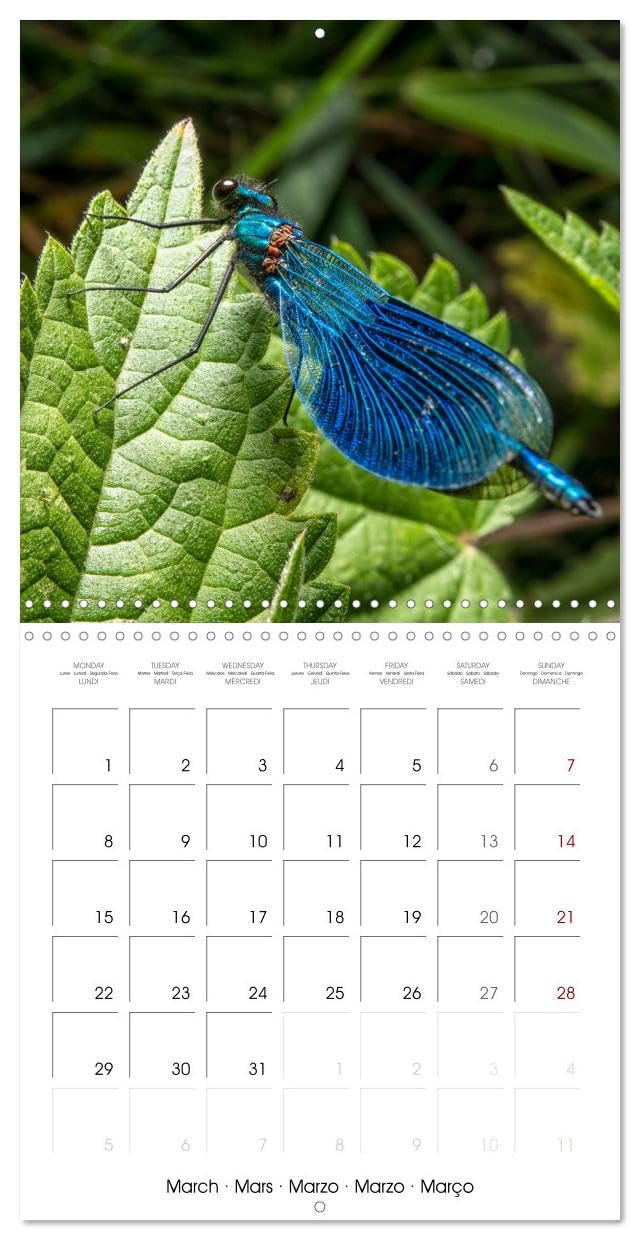 Macro Photo Cachée de la Nature (Calendrier mural carré 2027 30 x 30 cm) Calendrier double avec une page pour vos prises de notes