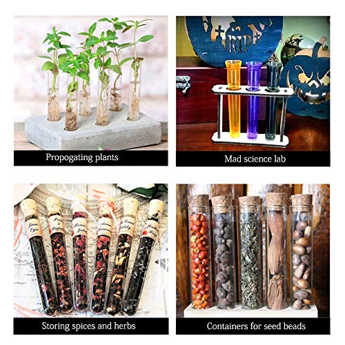 Kindpma 20Pcs 18Ml Clear Plastic Test Tubes 18X105Mm With Cork Stoppers Tube Holder Candy Test Tubes For Diy Flowers Crafts Candy Bath Salts Storage Halloween Christmas Science Lab Wedding Party Favor #TOP4