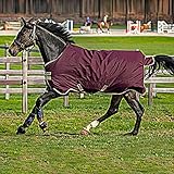 Horseware Amigo Hero Ripstop 100g Weichen Teppich 155cm Fig/Navy & Tan