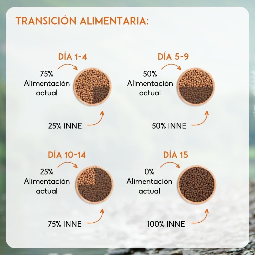 NUTRIVET - INNE Chien - Croquettes sans Céréales - Chien Adulte - Volaille - 80% d'ingrédients d'origine Animale - 12 kg