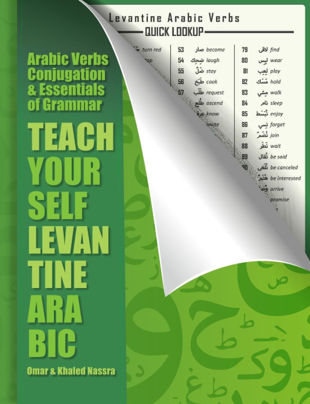 Teach Yourself Spoken Arabic