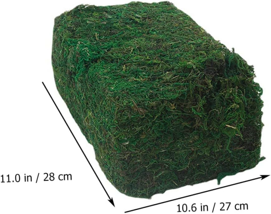 STOBOK 1pc Artificial Moss Flowers Decor Glass Decor Decorative Moss for Planters Glass Containers Faux Plants Artificial Plants Flower Pots Bulk Preserved Faux Moss Decor Accessories PVC, 050346MS6M