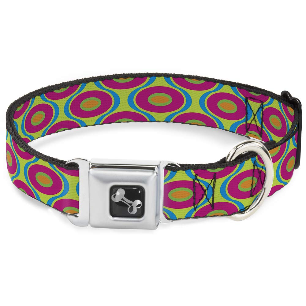 Collier de chien os Buckle Down bleu fuchsia pour les promenades quotidiennes au parc