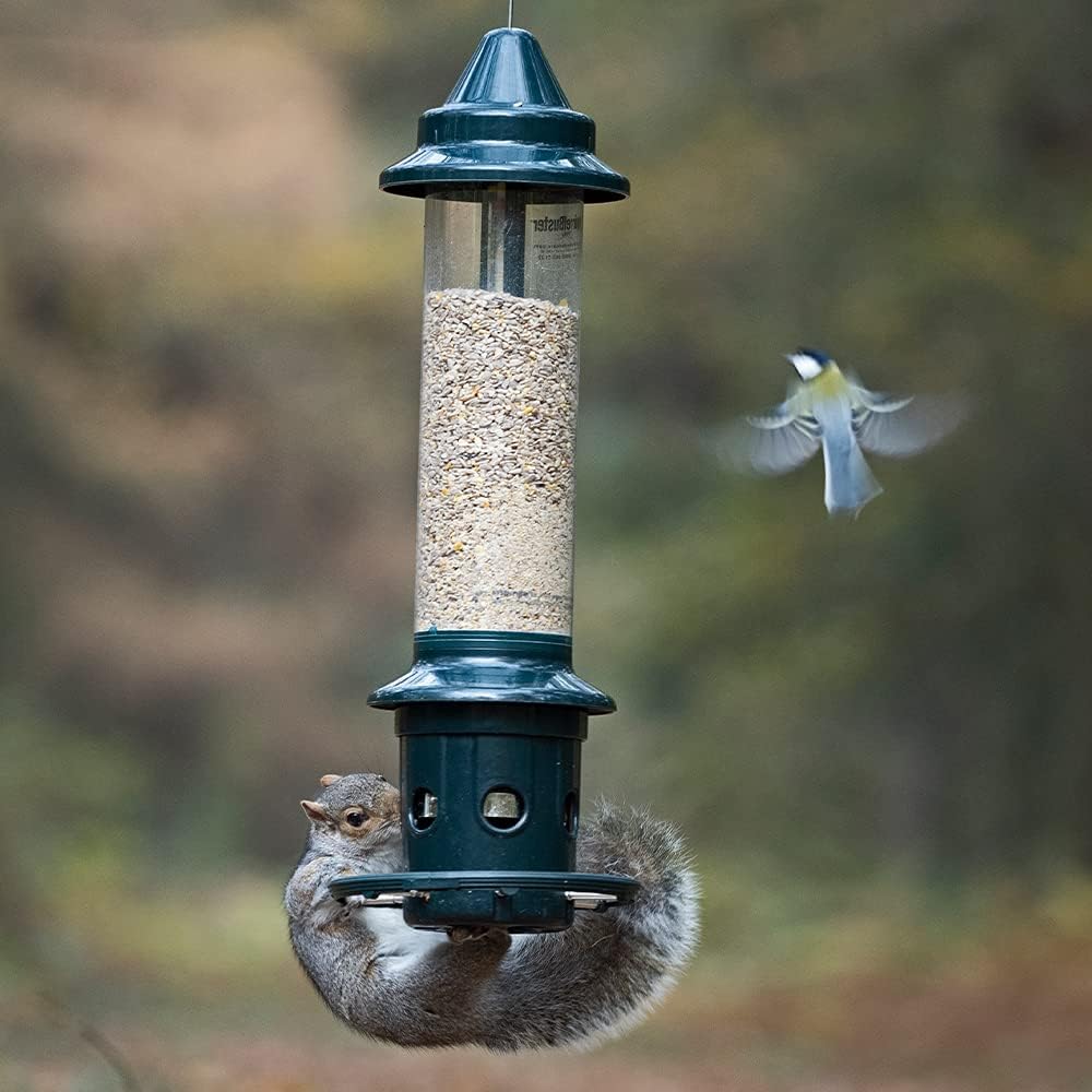 Brome,Squirrel Buster Plus 6"x6"x28" (w/hanger) Wild Bird Feeder with Cardinal Ring and 6 Feeding Ports, 5.1lb Seed Capacity, 2 Pack : Patio, Lawn & Garden