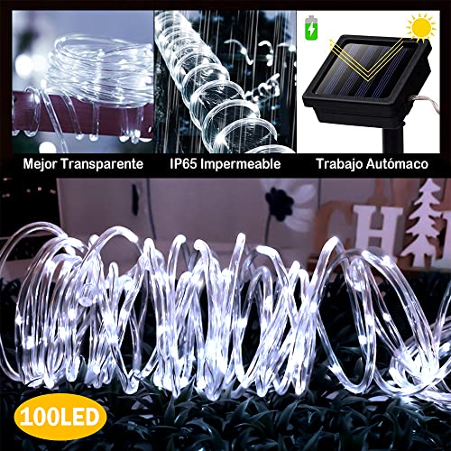 Opiniones de Mangueras de luces LED los mejores 10. 8 Mangueras de luces LED marca DAHAN (2)