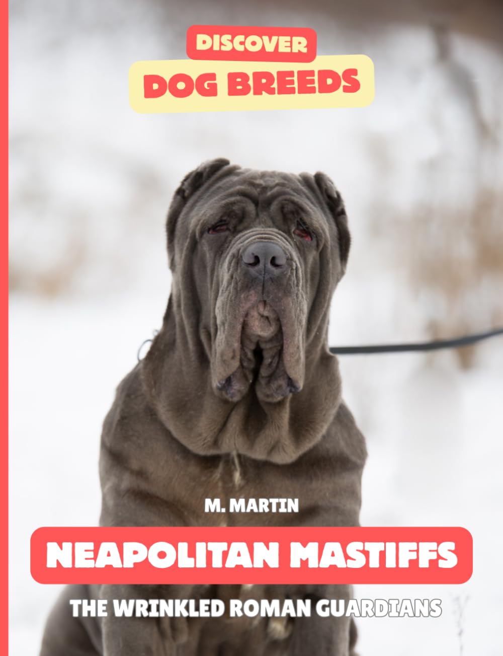 Neapolitan Mastiffs: The Wrinkled Roman Guardians (Discover Dog Breeds)